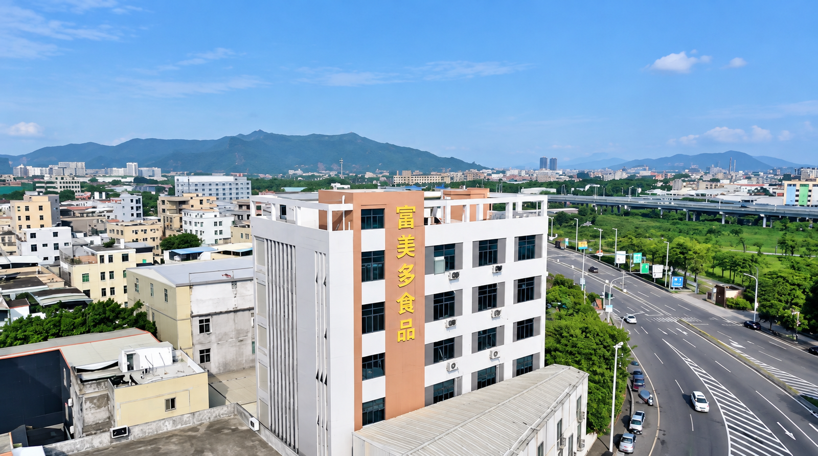 FUMEIDUO Candy Manufacturing Factory