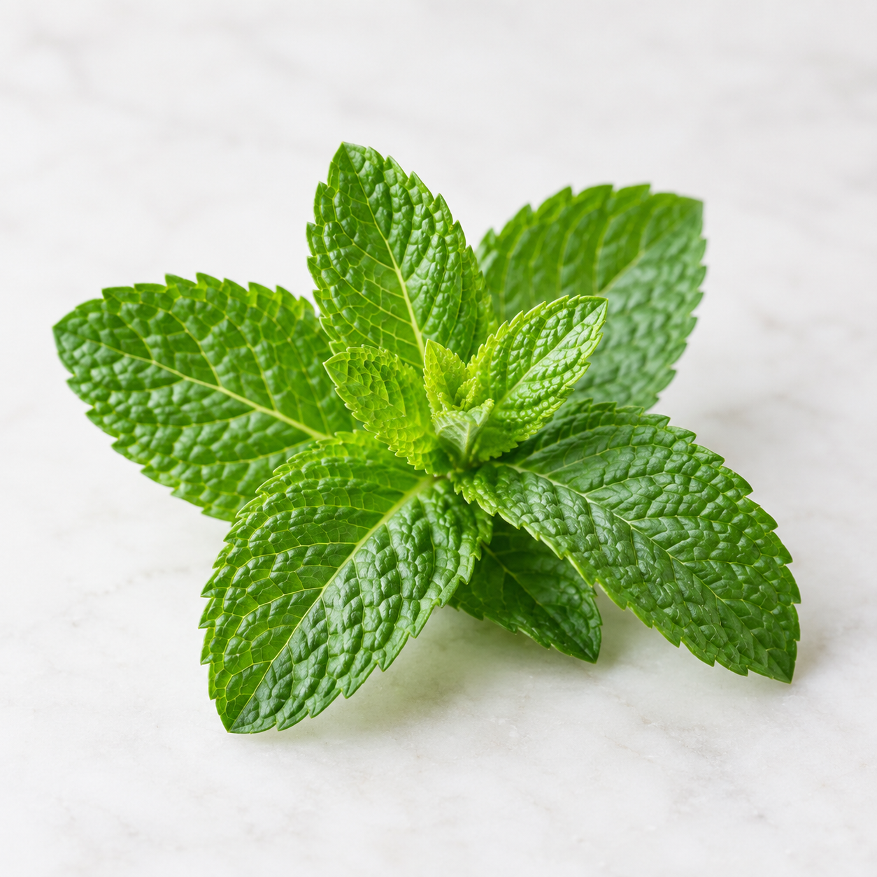 OEM-FLAVOR-MINT